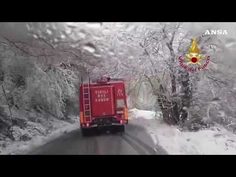 Maltempo nelle Marche, “strage” di alberi sotto il peso della neve