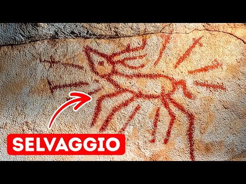 Scoperte che Rimodellano la Nostra Conoscenza sull’Early Umanità