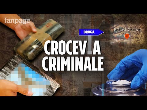 A caccia di droga nel porto di Genova: così ‘Ndrangheta e mafia albanese nascondono la cocaina