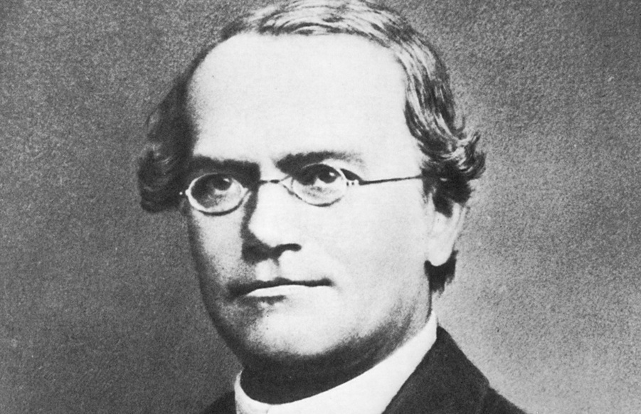 La rivoluzionaria teoria di Gregor Mendel – L’incendio del Teatro Regio – Il Grammy di Laura Pausini