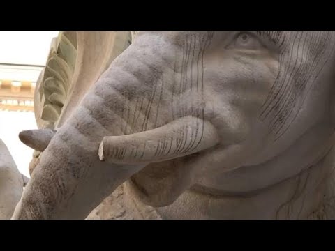 Danneggiato l’Elefantino del Bernini, a Roma: le immagini della zanna spezzata