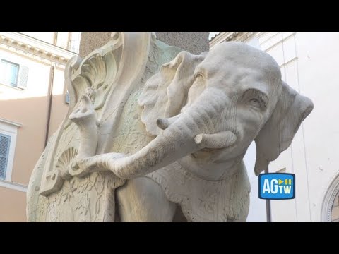 Sfregiato l’elefantino della Minerva: ecco la zanna spezzata dai vandali