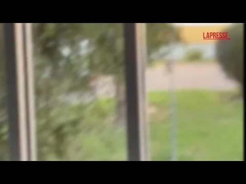 Inchiesta ultras, Poerio in permesso premio sparò sei colpi durante lite su traffico di droga: il…