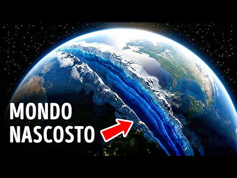 Questa Scoperta in Antartide Cambia la Nostra Conoscenza della Vita sulla Terra