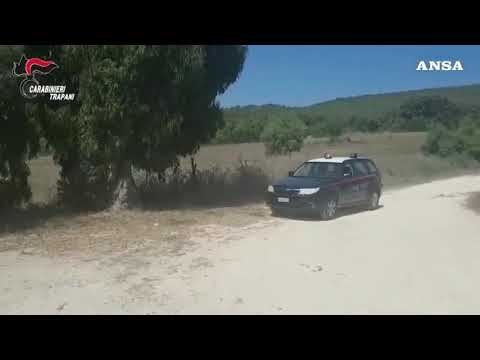 A fuoco 83 ettari di bosco nel Trapanese, arrestato un dipendente della Regione