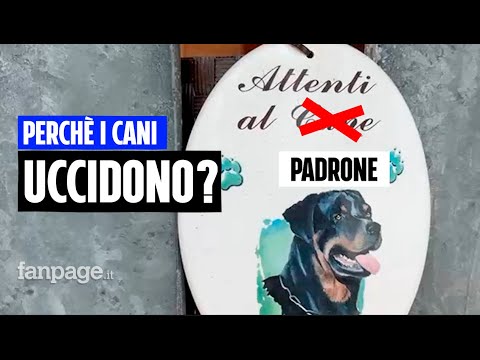 Attenti al padrone: storie di aggressioni dei cani in Italia e  delll’inconsapevolezza dell’uomo