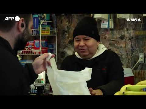 La battaglia per regolarizzare i tanto amati gatti da negozio a New York