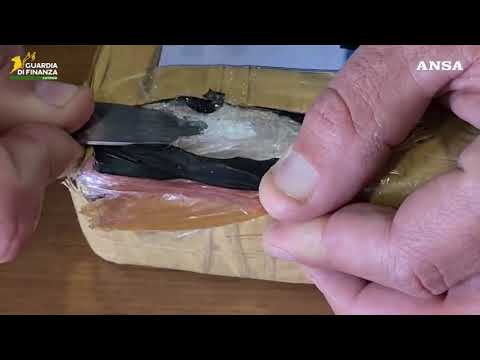 Blitz a Catania, societa’ portuale agevolava traffico di droga internazionale