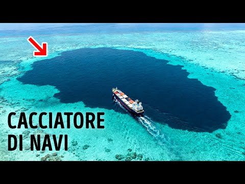 La trappola oceanica più mortale di cui nessuno ti aveva avvertito (e che non hai mai notato)