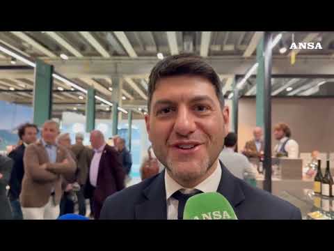 Rossi: “Il vino leva strategica per l’economia delle Marche, prima regione per bio”