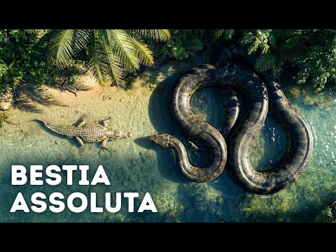 Serpenti così terrificanti che perfino il Titanoboa non era il peggiore