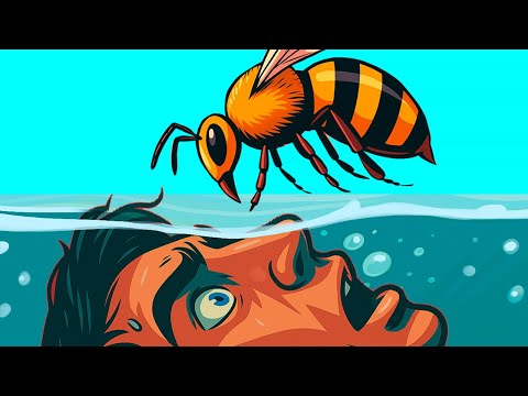 La cosa peggiore che si possa fare durante un attacco di api