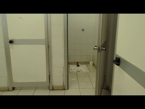 Muri scrostati, guano di piccione, muffa: il video dentro lo studentato Calamandrei a Firenze