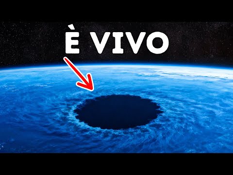 I biologi marini hanno appena scoperto qualcosa di veramente incredibile