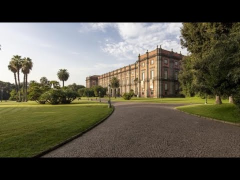 L’energia della bellezza: i pannelli fotovoltaici rendono il Museo di Capodimonte «autosufficiente»
