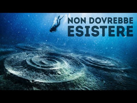 Qualcosa ha creato 1.300 cerchi perfetti sul fondale marino