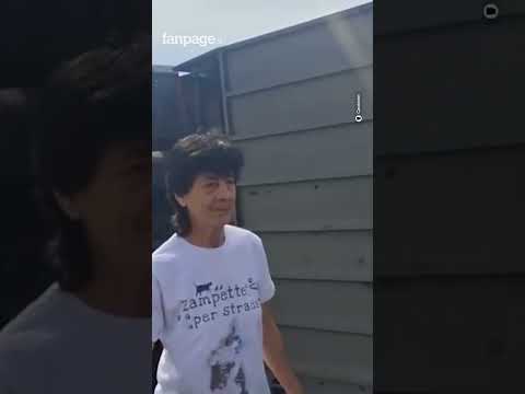 Si ribalta un camion carico di maiali nel Reggiano: animali a zonzo. L’intervento dei carabinieri, r