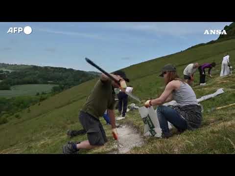 Regno Unito, volontari restaurano il gigante nudo di Cerne Abbas