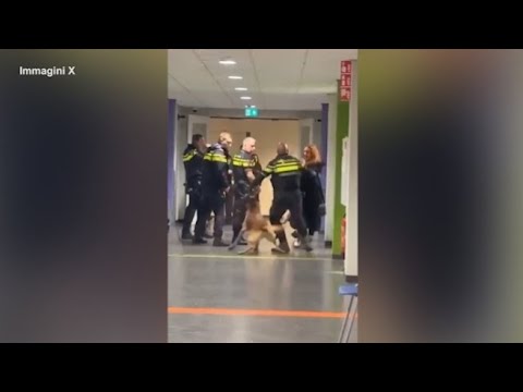 Paesi Bassi, donna incinta scaraventata a terra dalla polizia: la violenza in un centro per richi…