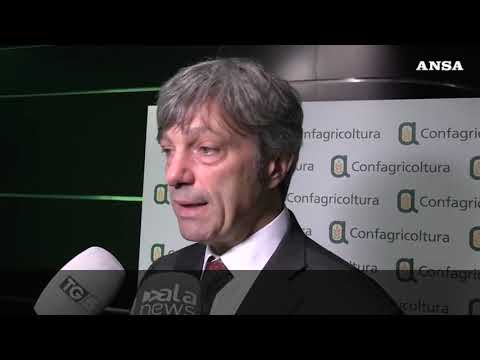Zoppas: “Dobbiamo stare vicini agli Stati Uniti, sono un mercato di riferimento”