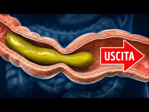 Come il cibo si trasforma in feci (e perché le feci degli antichi erano migliori)