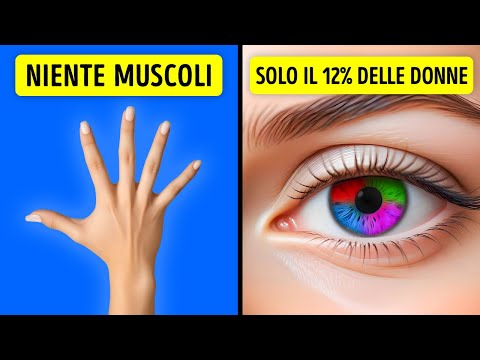 Curiosità sorprendenti sul corpo umano che ti faranno riconsiderare cosa significhi essere umani