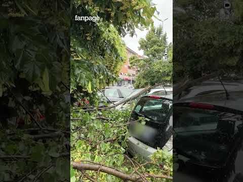 Tromba d’Aria colpisce Roma, alberi caduti e vetri in frantumi a Montesacro: bloccata via dei Prati