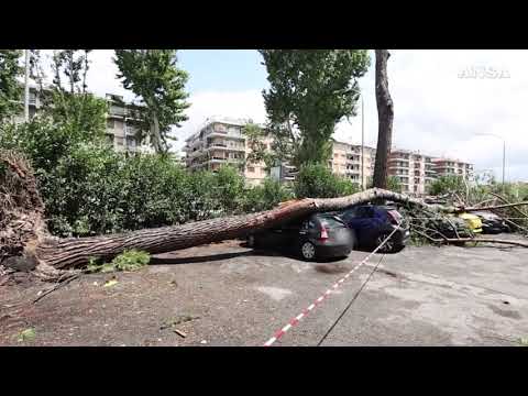 Tornado si abbatte su Roma, strage di alberi e veicoli
