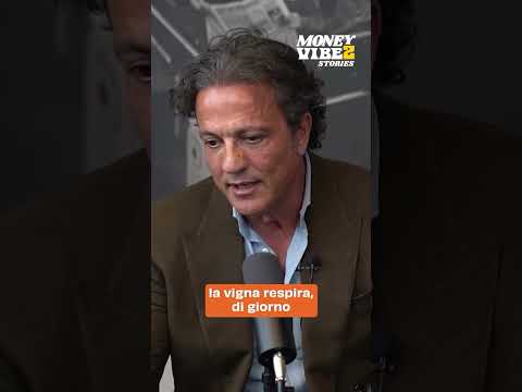 La Sicilia del Vino: La Storia di Cusumano tra Territorio e Innovazione