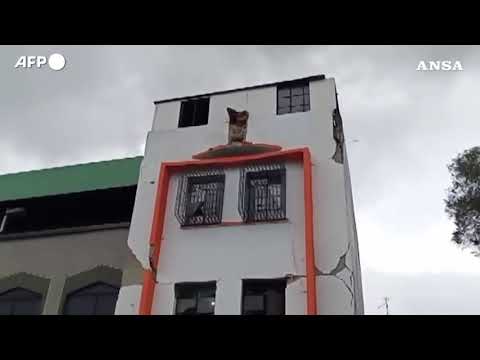 Terremoto in Venezuela, almeno 32 morti e 700 feriti
