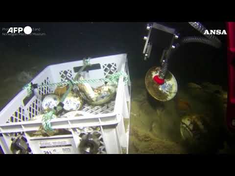 Recuperate porcellane cinesi dal relitto di una nave del XVIII secolo