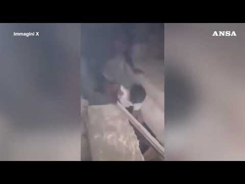 Terremoto in Venezuela, il miracolo dei tre fratellini estratti vivi