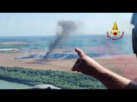 Adria, vasto incendio distrugge un campo di grano di trenta ettari