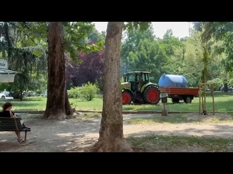 Caldo record a Milano, in piazzale Libia un trattore porta acqua per gli alberi più piccoli