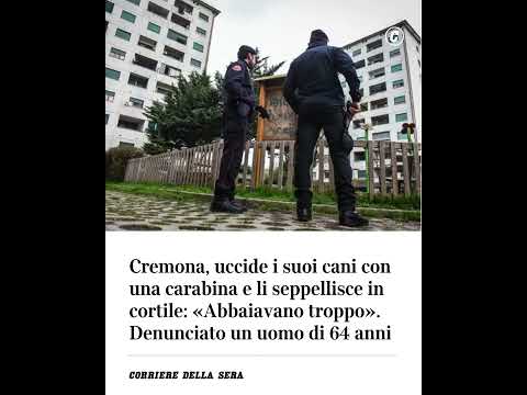 Cremona, uccide i suoi cani con una carabina e li seppellisce in cortile: “Abbaiavano troppo”