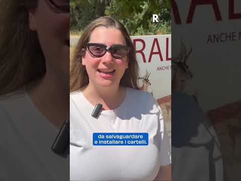 Nuovi Cartelli Stradali a Bologna: Protezione per la Fauna Selvatica nel Parco dei Gessi