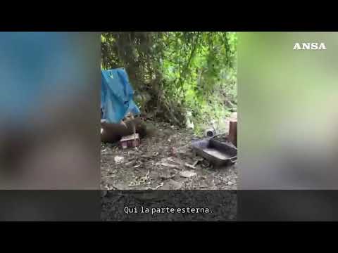 Ortaggi coltivati vicino a un’ex discarica, sequestrati orti insalubri a Prato