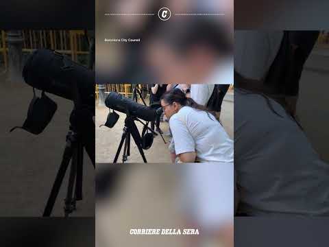 Barcellona, i falchi pellegrini nidificano tra le guglie della Sagrada Familia