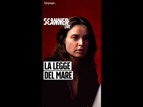 Kasia Smutniak: “Ho trovato la solidarietà con i migranti anche nel bosco bielorusso”