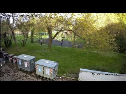 Il video dell’aggressione al parco con il machete: un quindicenne resta sfigurato