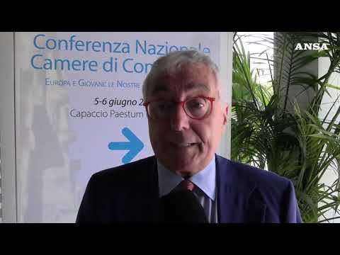 Unioncamere, l’Europa e’ fondamentale per la crescita dei giovani