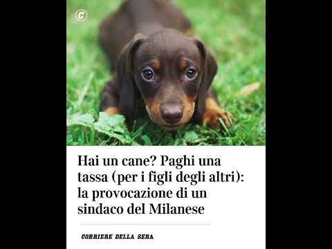 Hai un cane? Paghi una tassa (per i figli degli altri): la provocazione di un sindaco nel Milanese
