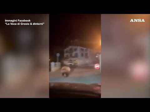 Orso scorrazza tra le case in Valtellina, le immagini della corsa