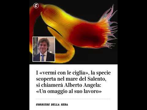 I “vermi con le ciglia” scoperti nel mare del Salento si chiameranno Alberto Angela: “Un omaggio…