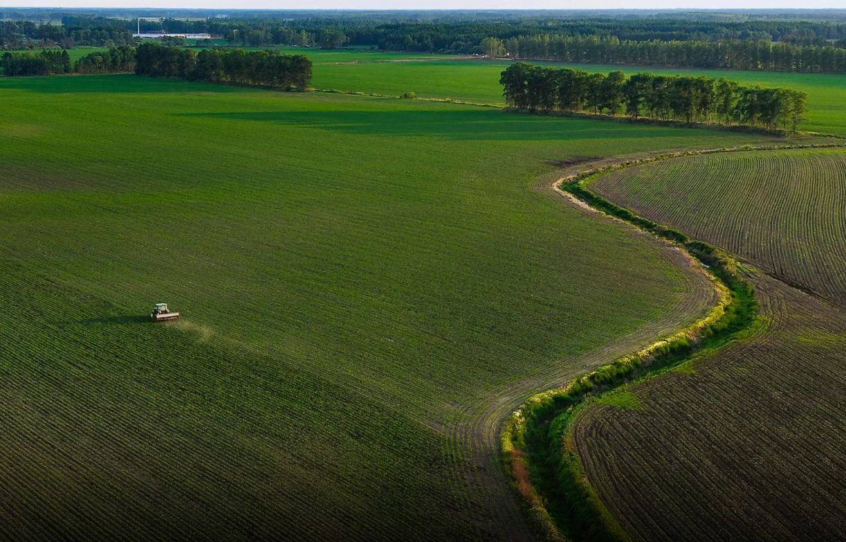Portavoce Cina, pronti a facilitare commercio agricolo bilaterale con Usa