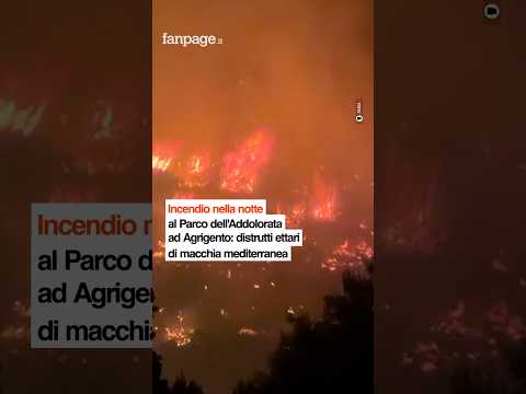 Incendio nella notte al Parco dell’Addolorata ad Agrigento: distrutti ettari di macchia mediterranea