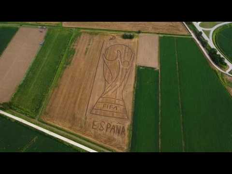 Spagna campione, il tributo del land artist Dario Gambarin: la Coppa disegnata con trattore e ara…