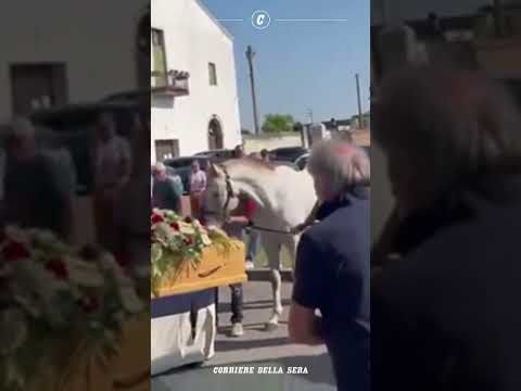 Il cavallo Paco bacia la bara del padrone al suo funerale “Hanno vissuto in simbiosi”