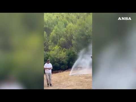 Incendio sul Gargano: le fiamme, dolose e spinte dal vento, minacciano alcuni lidi