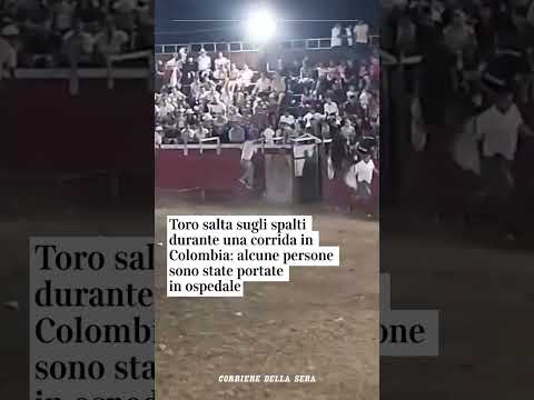 Toro salta sugli spalti durante una corrida in Colombia: alcune persone in ospedale